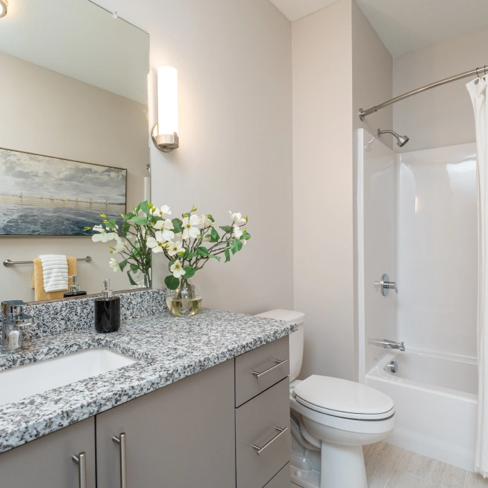 Spacious bathroom featuring granite vanity, wall art, and glass vase with white flowers