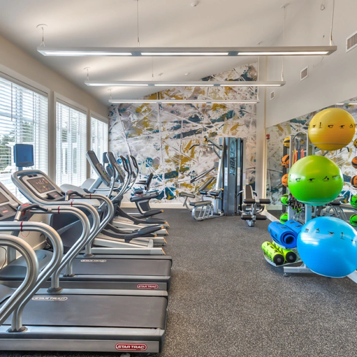 Modern fitness center with treadmills, colorful exercise balls, and bright natural lighting through windows